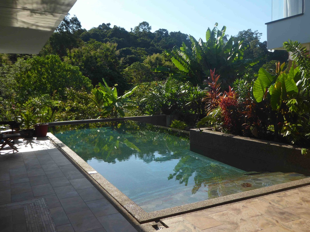 Villa for sale Langkawi, Luxury Natural Pebble mountain pool
