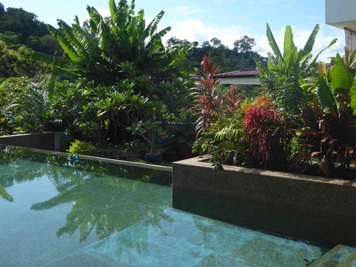 Villa for Sale Langkawi Private natural pebble pool   